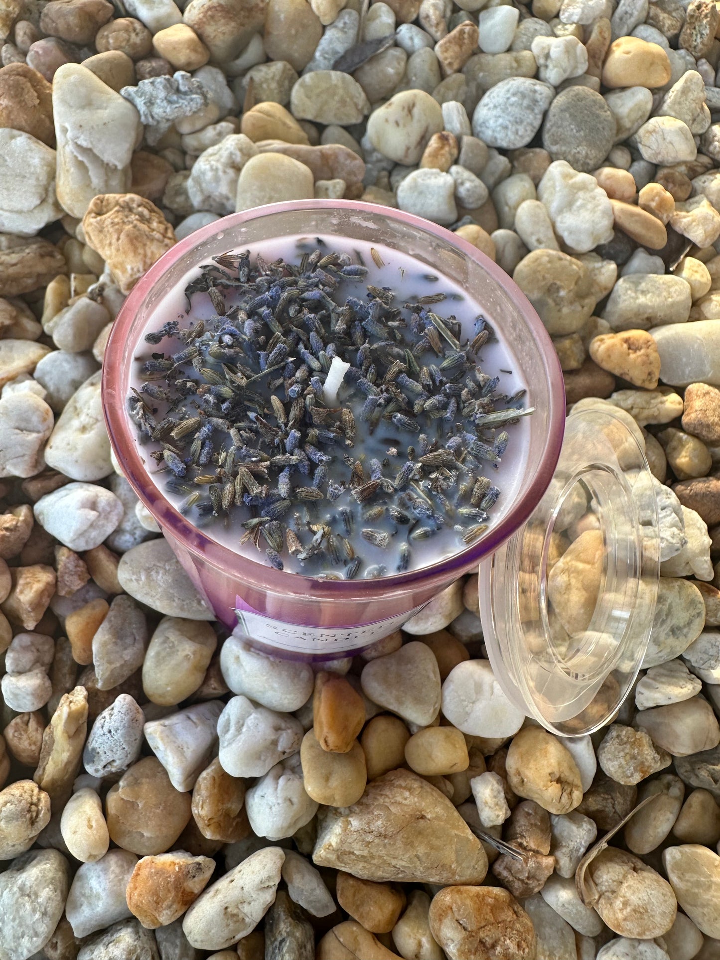 Lavender